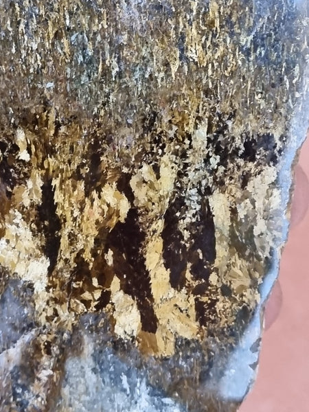 Polished Golden Amphibolite slab GA144