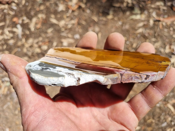 Sunset Jasper polished slab SU146