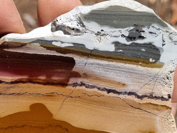 Sunset Jasper polished slab SU146