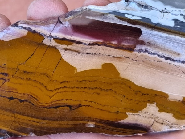 Sunset Jasper polished slab SU146