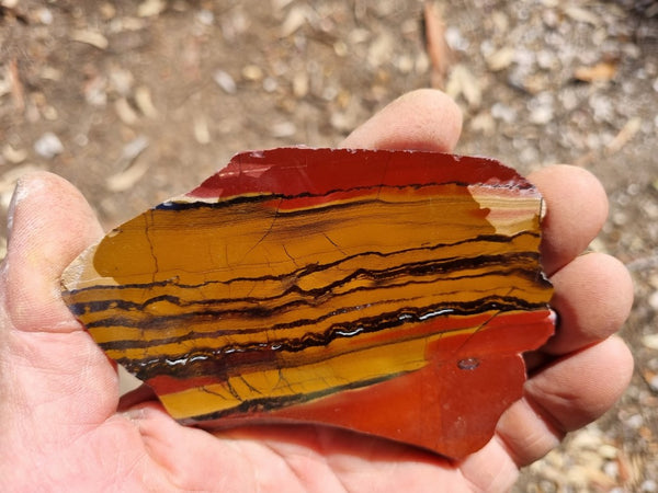 Sunset Jasper polished slab SU148