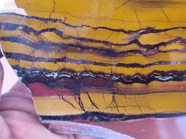 Sunset Jasper polished slab SU148