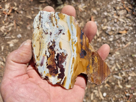 Sunset Jasper polished slab SU150