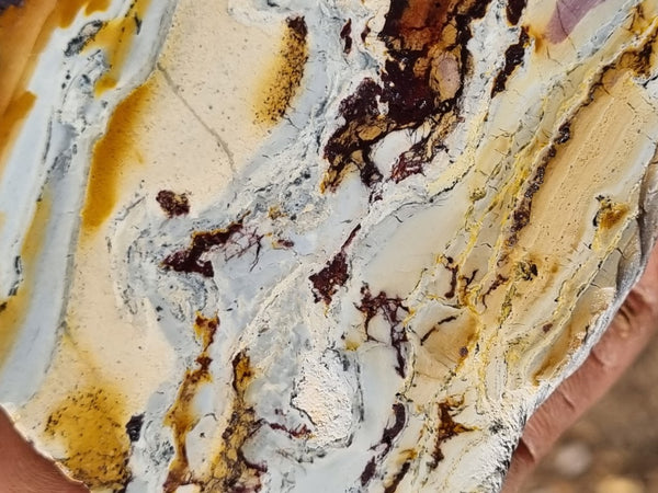 Sunset Jasper polished slab SU150