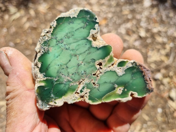 Polished Chrysoprase CH426