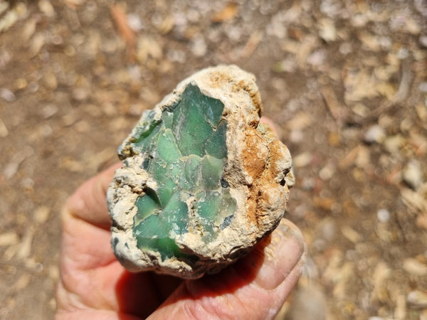 Polished Chrysoprase CH426