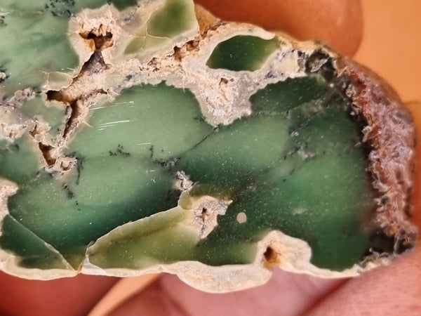 Polished Chrysoprase CH426