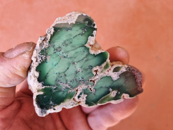 Polished Chrysoprase CH426