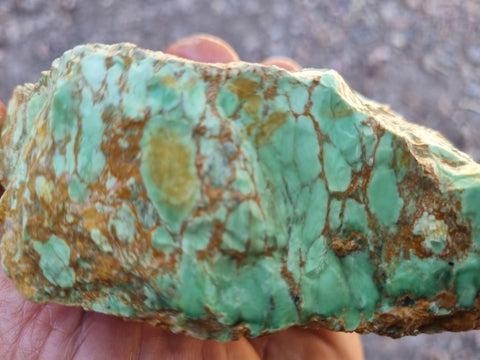 Variscite rough. VR505