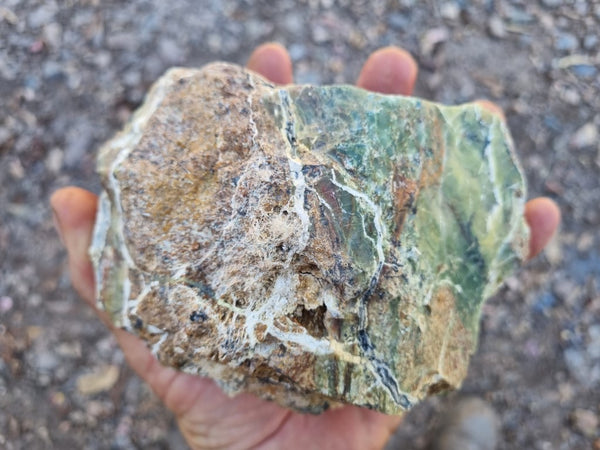 Green Opal  rough.  GOR 111