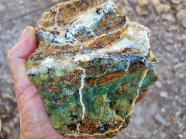 Green Opal  rough.  GOR 111