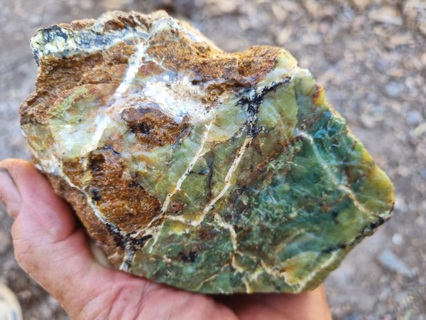 Green Opal  rough.  GOR 111