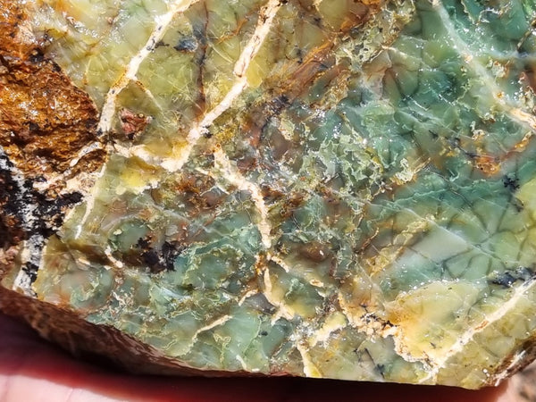 Green Opal  rough.  GOR 111