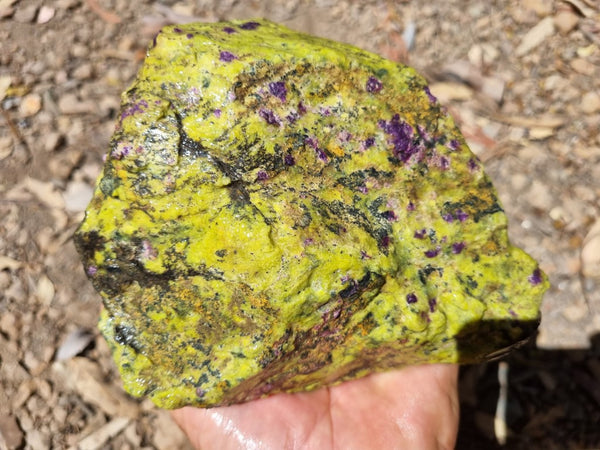 Rough Stichtite in Serpentine (Atlantisite) STR123