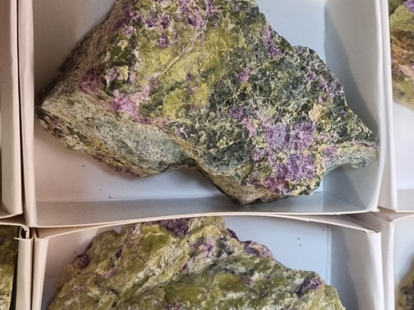 Stichtite in Serpentine (Atlantisite) rough STR124