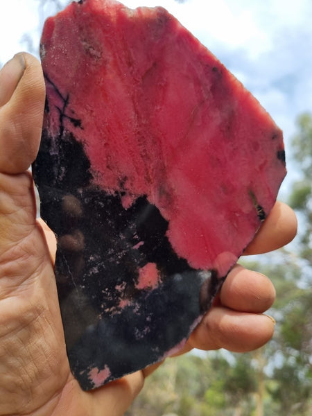 Polished Rhodonite slab RH255