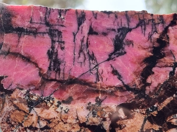 Polished Rhodonite slab RH256