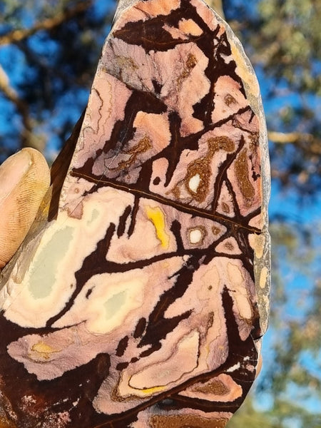 Polished Outback Jasper  OJ162
