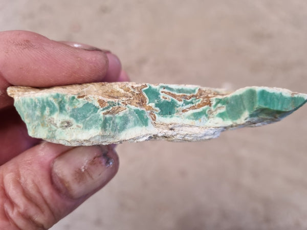 Variscite rough. VR508