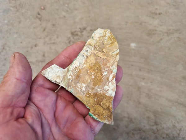 Variscite rough. VR508