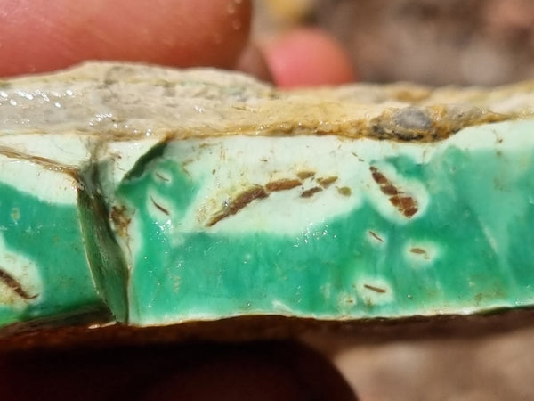 Variscite rough. VR508