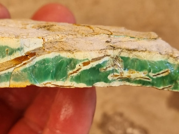 Variscite rough. VR508