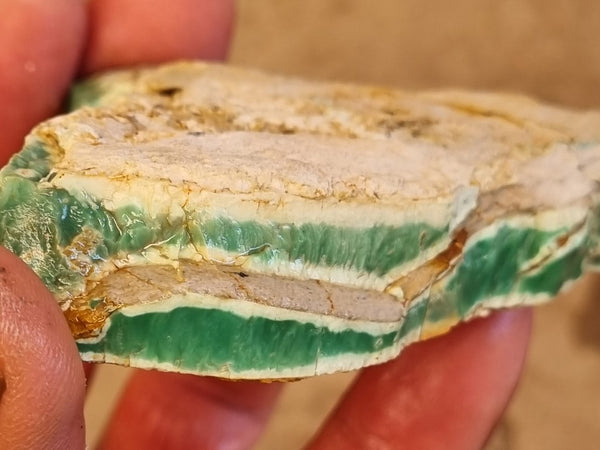 Variscite rough. VR508