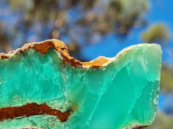 Polished Chrysoprase slab CH430