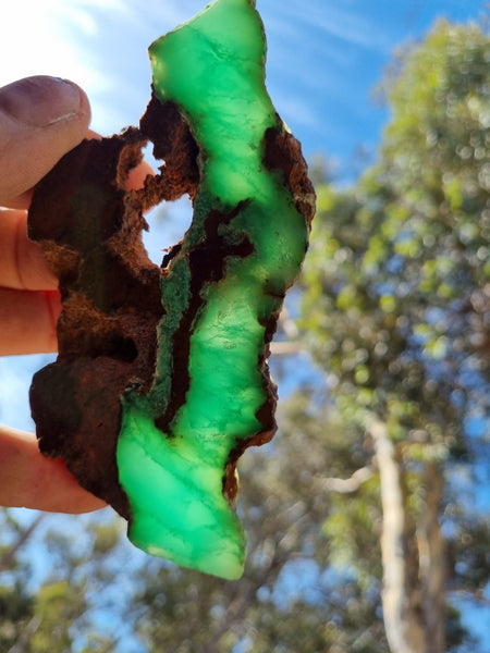 Polished Chrysoprase slab CH430