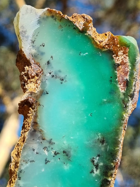 Polished Chrysoprase slab CH431