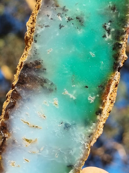 Polished Chrysoprase slab CH431