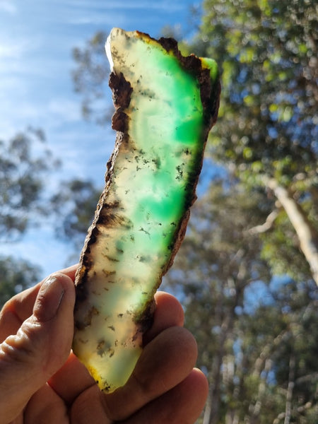 Polished Chrysoprase slab CH431