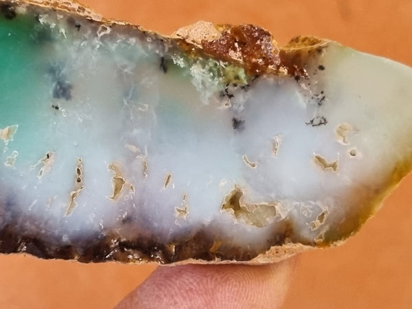 Polished Chrysoprase slab CH431