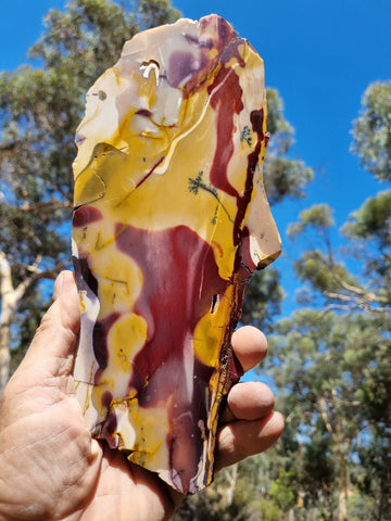 Polished Mookaite slab MK375