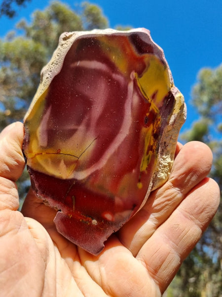 Polished Mookaite  MK373