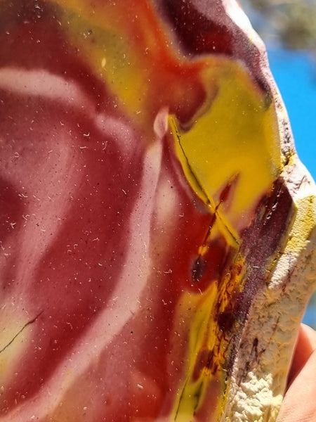 Polished Mookaite  MK373