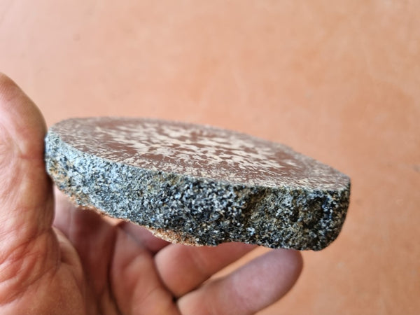 Polished Orbicular Granite. OG175