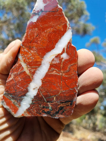 Starry Jasper polished slab SJ136