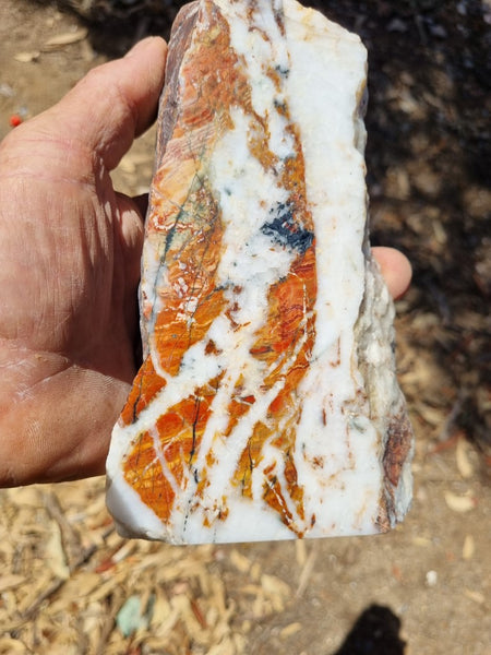 Starry Jasper polished display specimen SJ134