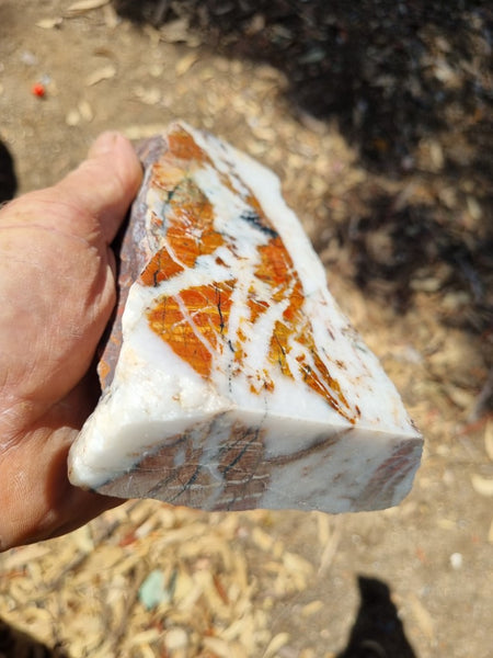 Starry Jasper polished display specimen SJ134