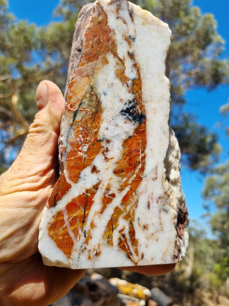 Starry Jasper polished display specimen SJ134