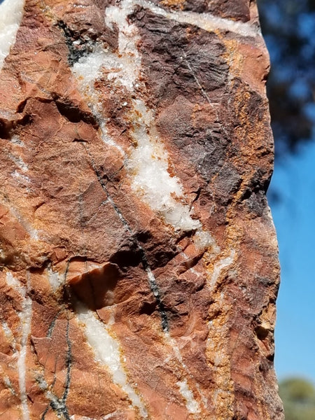 Starry Jasper polished display specimen SJ134