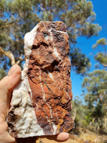 Starry Jasper polished display specimen SJ134