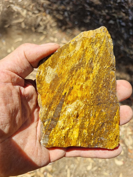 Polished Golden Amphibolite slab GA146