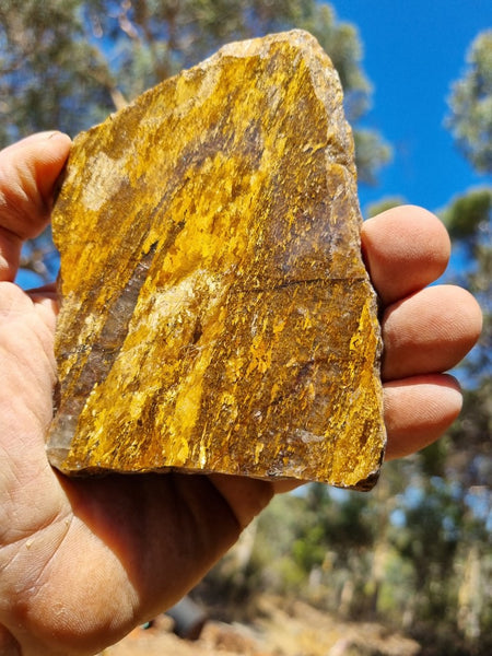 Polished Golden Amphibolite slab GA146