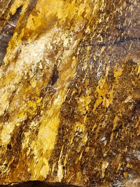 Polished Golden Amphibolite slab GA146