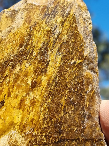 Polished Golden Amphibolite slab GA146