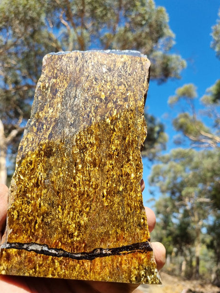 Polished Golden Amphibolite GA147 – GemstoneGeeks.