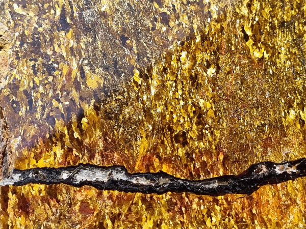 Polished Golden Amphibolite GA147