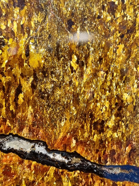 Polished Golden Amphibolite GA147